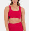 Carmine Red
